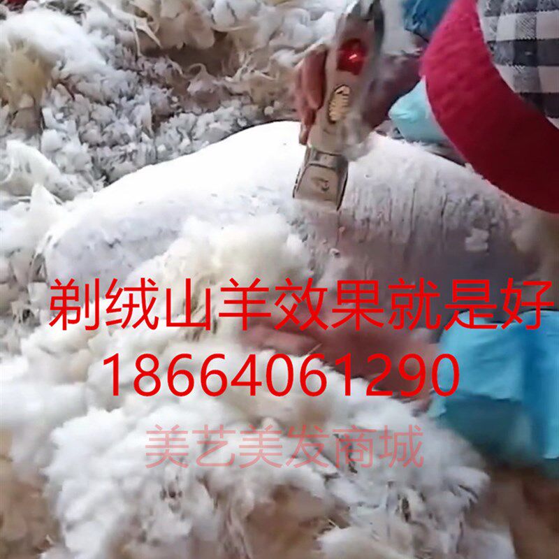 大功率绒山羊长毛兔剃毛器泰迪狗毛电推剪电动推子狗狗宠物剪毛器