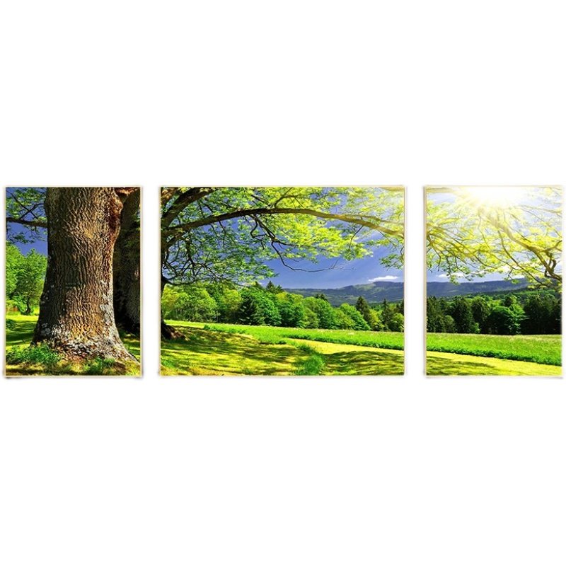 高档客厅风景画 阳光森林三联沙发墙壁挂画 晶瓷画高清大树装饰画