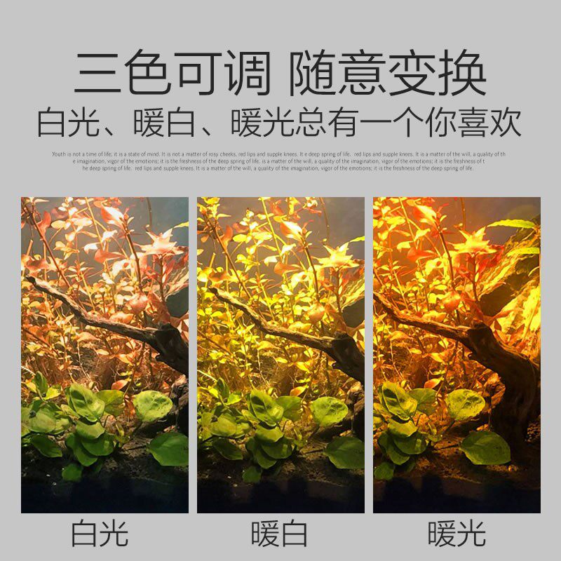 森森鱼缸水族箱灯小射灯led灯防水 水草灯照明灯草缸灯乌龟灯节能