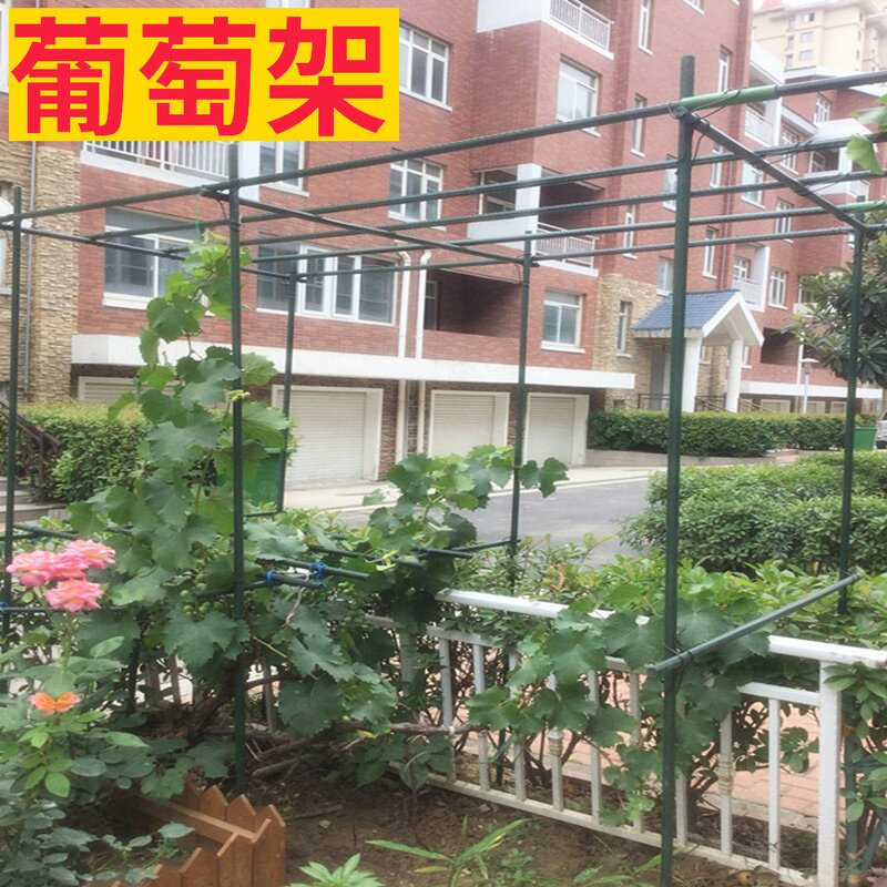 葡萄豆角黄瓜架爬藤架种菜架子花卉植物支架户外攀爬花园阳台支架