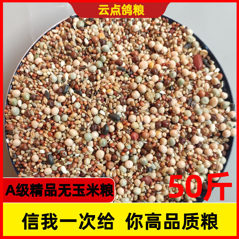 幼鸽鸽粮50斤无玉米粒红高粱豌豆小麦信鸽子通用10斤20斤鸽粮包邮