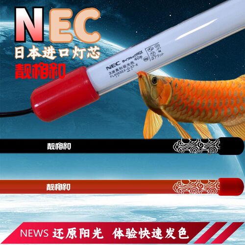 NEC龙鱼专用鱼缸灯管金红龙增艳发色烤色6700K防水马印神灯靓相和