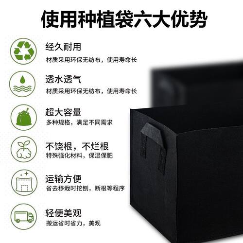 加厚方形美植袋 适用阳台楼顶蔬果育苗用种植袋 多尺寸选择