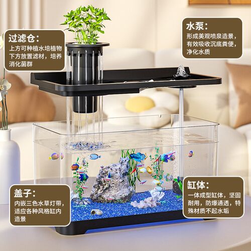 鱼缸过滤制氧一体机小型客厅2026新款生态造景金鱼乌龟饲养缸