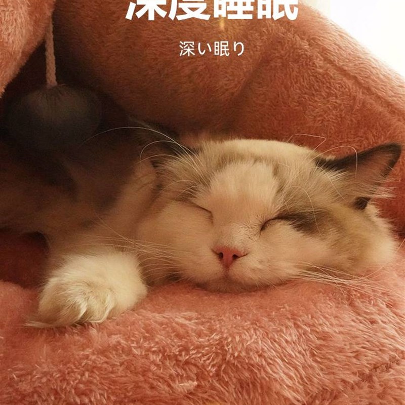 双层加厚猫窝冬季保暖封闭式家用室内小型犬狗窝睡袋猫咪四季通用