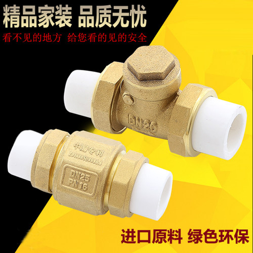PPR止回阀 黄铜卧式立式止回阀  止逆阀 水管管件配件pe止逆阀
