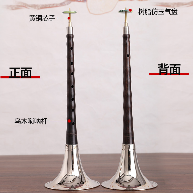 唢呐乐器全套初学者专业d调唢呐全套小唢呐 锁呐喇叭