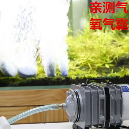 森森小型增氧泵卖鱼增氧机海鲜鱼池充氧泵大功率打氧机鱼缸氧气泵