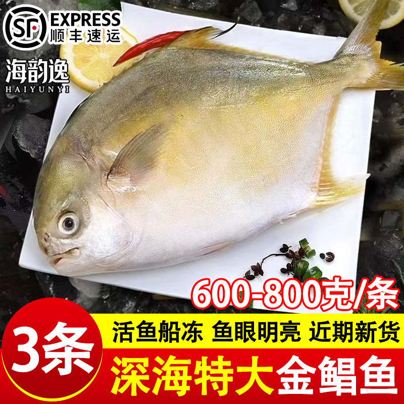 新货金鲳鱼新鲜冷冻特大号镜鱼鲳鱼海鲜水产鲜活速冻鱼类商用批发