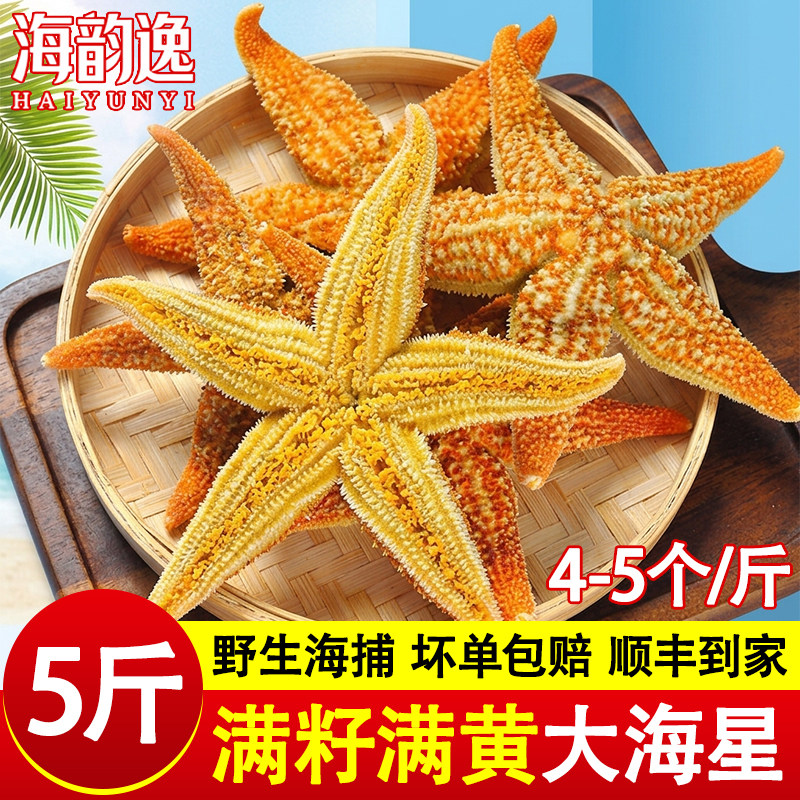 海星鲜活冷冻5斤派大星新鲜熟冻速冻海星满籽海鲜野生食用五角星