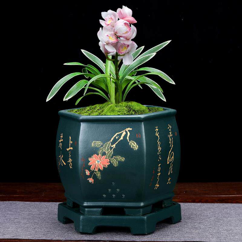 紫砂兰花盆高档手工六方陶瓷君子兰盆景盆室内桌面兰草盆带底座