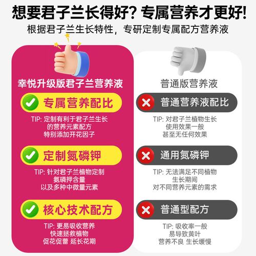 君子兰营养液肥料花肥开花素促箭专用肥治不开花拔箭催花有机肥