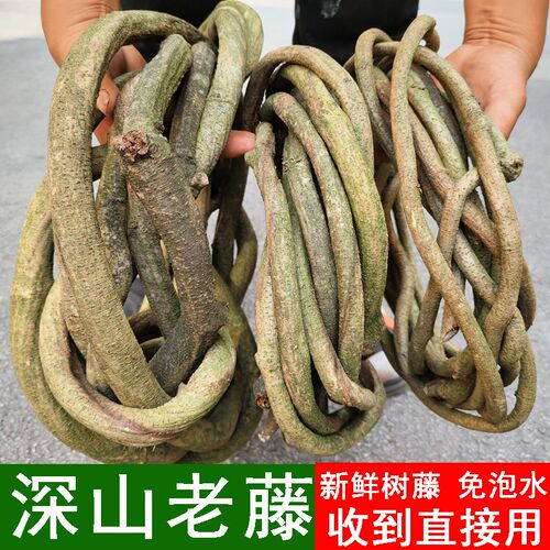 树藤枯藤条红山藤婚庆店铺家居装饰树藤吊顶免泡水真藤条装饰树叶