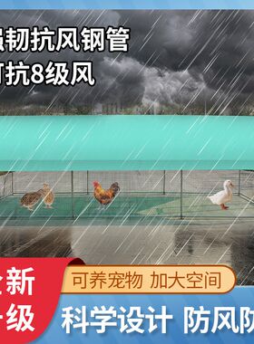 户外养殖鸡棚养鸡遮雨棚防雨棚鸡鸭鹅兔鸽子孔雀等家禽室外养鸡棚