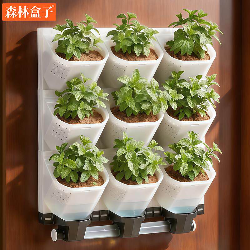 林盒子室内植物花盆创多意阳台垂直绿化壁挂5017-3白墙花盘层种植