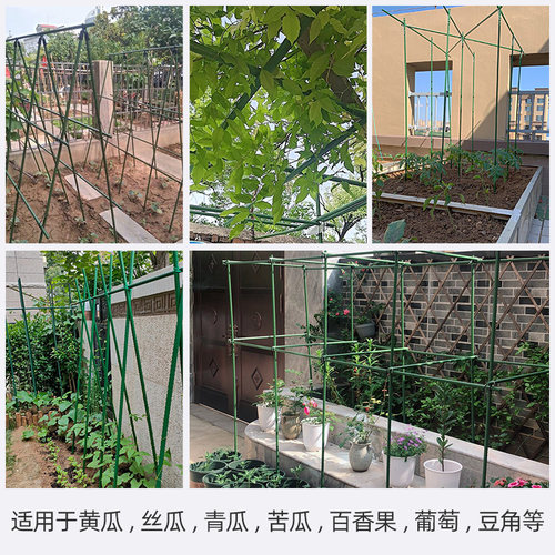 庭院葡萄爬藤架豆角黄瓜爬藤支架园艺花架包塑钢管植物牵引攀爬架