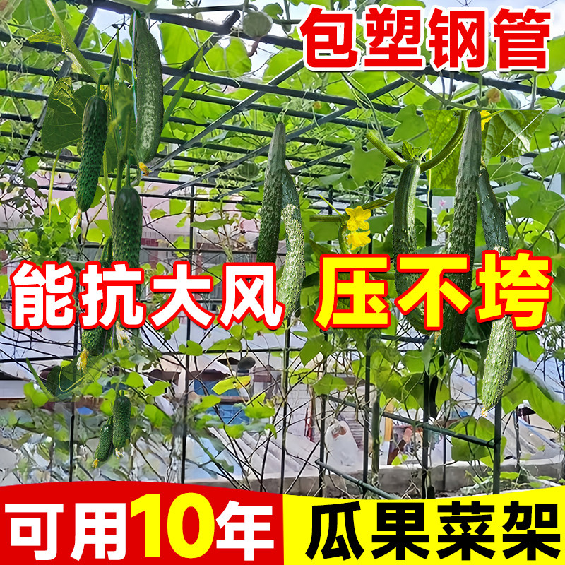 黄瓜爬藤架竹竿葡萄豆角爬藤网免安装花架爬藤支架杆楼顶种菜架子