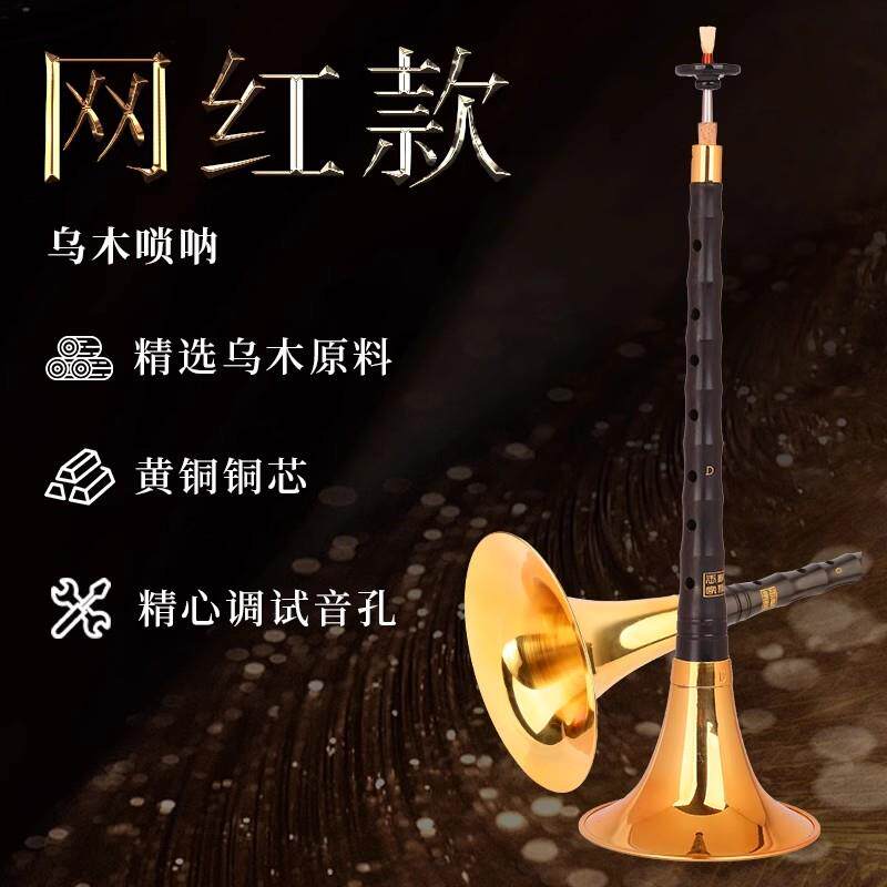 宏艺凤鸣网红款乌木唢呐乐器初学者专业演奏型唢呐全调喇叭