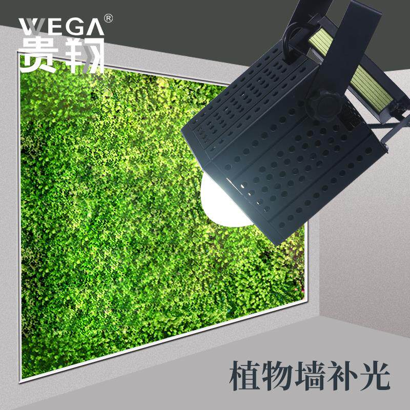 植物生长补光灯贵翔LED全光谱室内景观花卉多肉花店植物墙补光灯