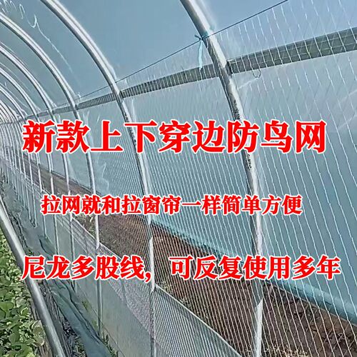 天窗防鸟网葡萄天沟鸟网大棚四周围边围网穿引线安装简单尼龙网