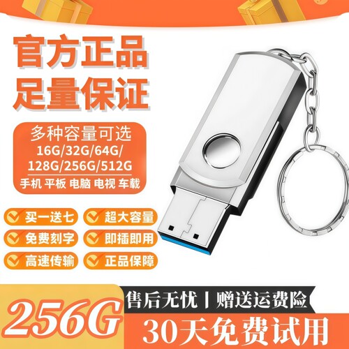 移动2T手机电脑车载U盘刻字logo