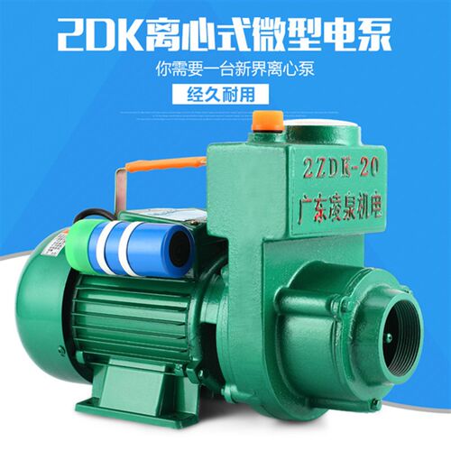 DK型大流量自吸离心泵 2寸220v农用灌溉抽水泵 家用井水吸水泵