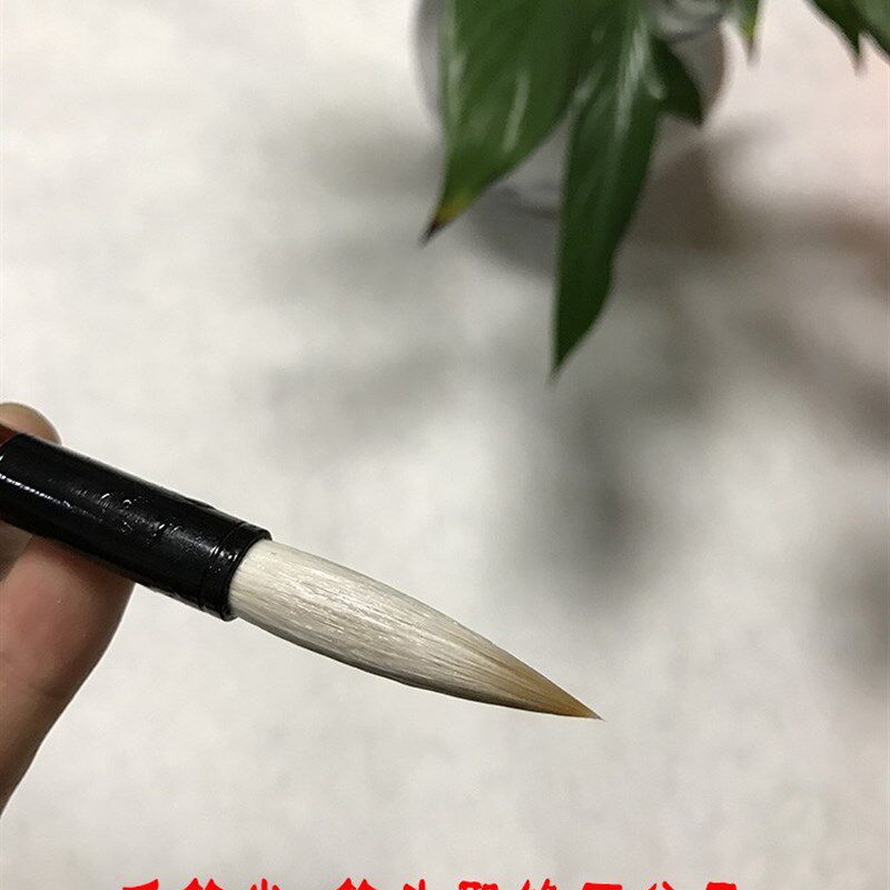 大放光彩兼毫湖笔学生初学兼毫毛笔善琏推荐不掉毛四德弹性好吸墨