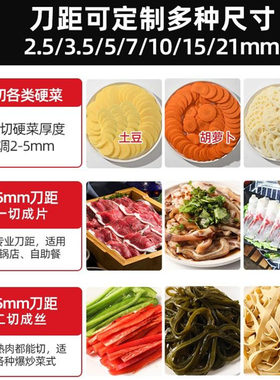 切肉机商用绞肉丁电动小型切肉片切肉丝机多功能家用不锈钢切菜机
