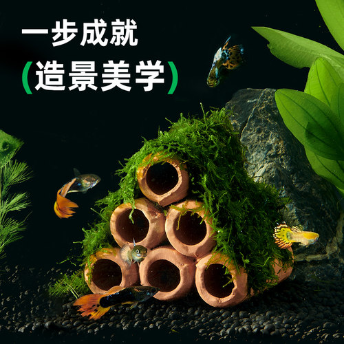 鱼缸莫斯陶罐躲避屋植物水草生态造景懒人摆件鱼虾躲避洞繁殖罐屋