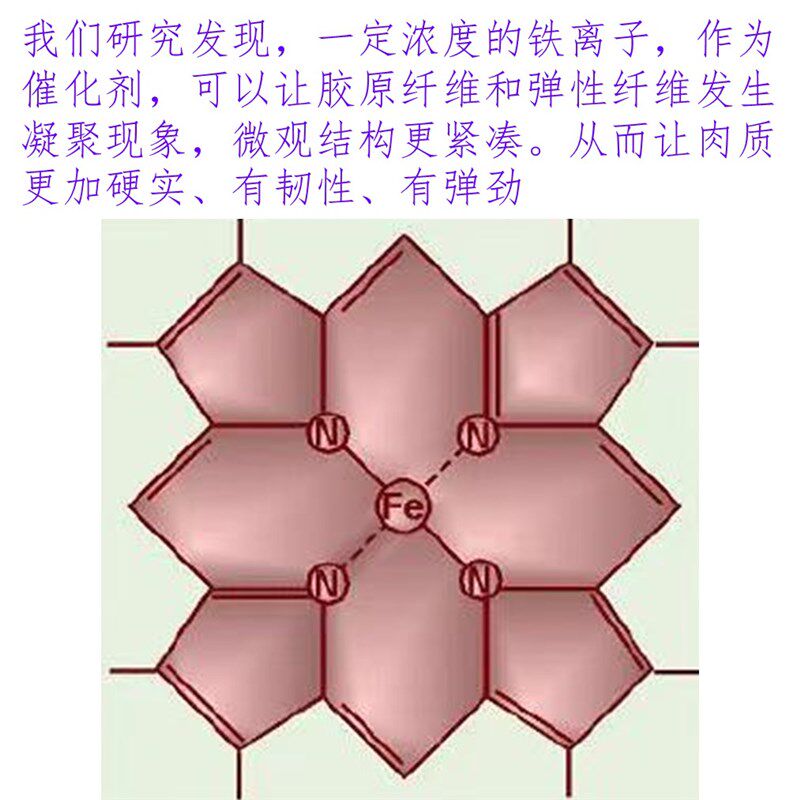 保水发软鱿鱼墨鱼八爪鱼虾仁海参肉质硬实剂弹性剂铁离子催化剂