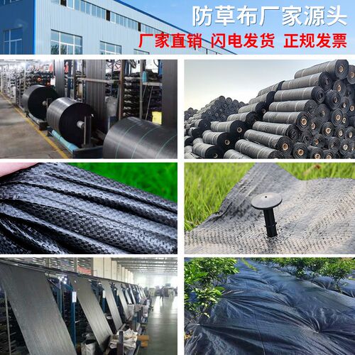 防草布除草布耐用地布果树果园地膜抑草无纺生态防草布200米大卷