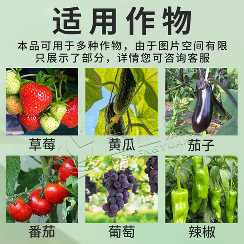 立凉高效遮阳利凉蔬菜大棚暖棚大棚膜专用防晒剂降温剂涂料喷雾剂