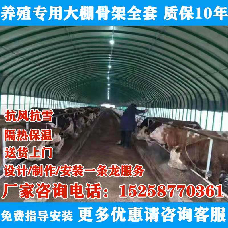 养殖大棚骨架钢管全套猪鸡舍牛棚羊圈户外搭建椭圆管温室蔬菜大棚