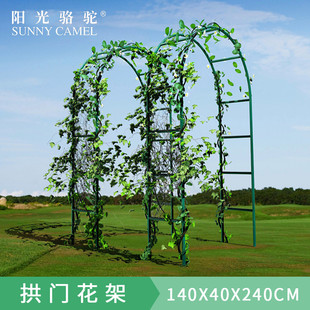 铁艺拱门花架爬藤架铁线莲丝瓜支架蔷薇月季攀爬架花架子婚庆花门