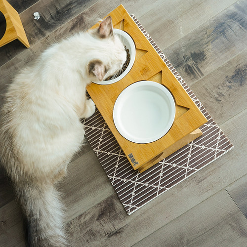 保护脊椎陶瓷猫餐桌猫碗斜口倾斜双碗固定倾斜陶瓷斜口猫碗碗架子