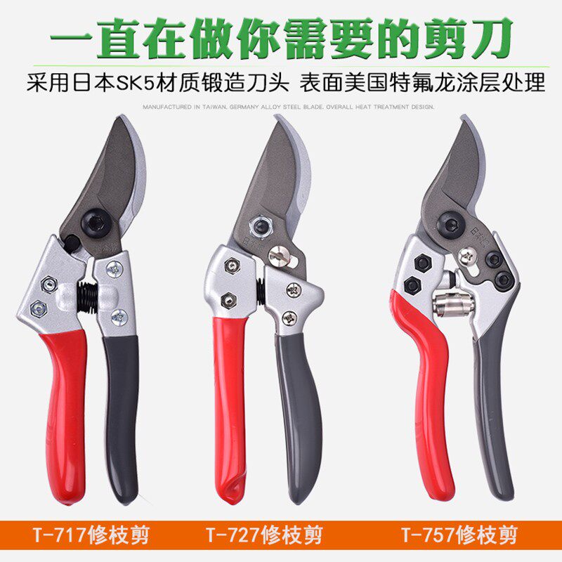 立锦园艺花剪修花剪刀花草省力修枝剪园林工具果园果树剪枝剪T717