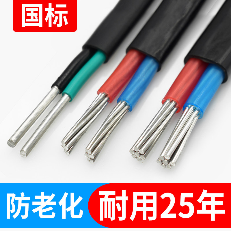 国标十六铝芯电线 户外双2芯二2.5 4 6 10 16 25平方家用农改电缆