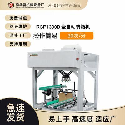 加工定制全自动装箱机智能装箱五金封箱机纸箱装箱机RCP1300B