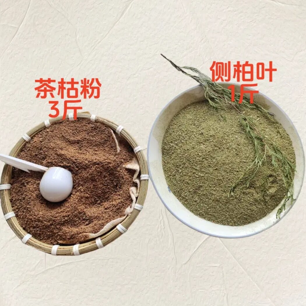 善小舟茶枯粉侧柏叶粉组合装