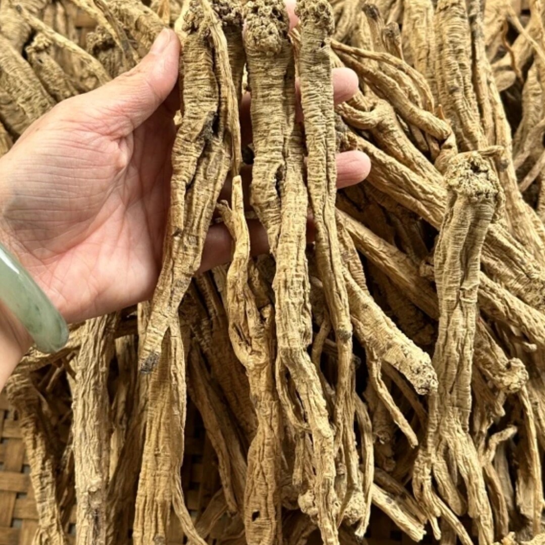 【善小舟旗舰】野生党参500g干货中药材无硫正品甘肃当参黄芪泡水