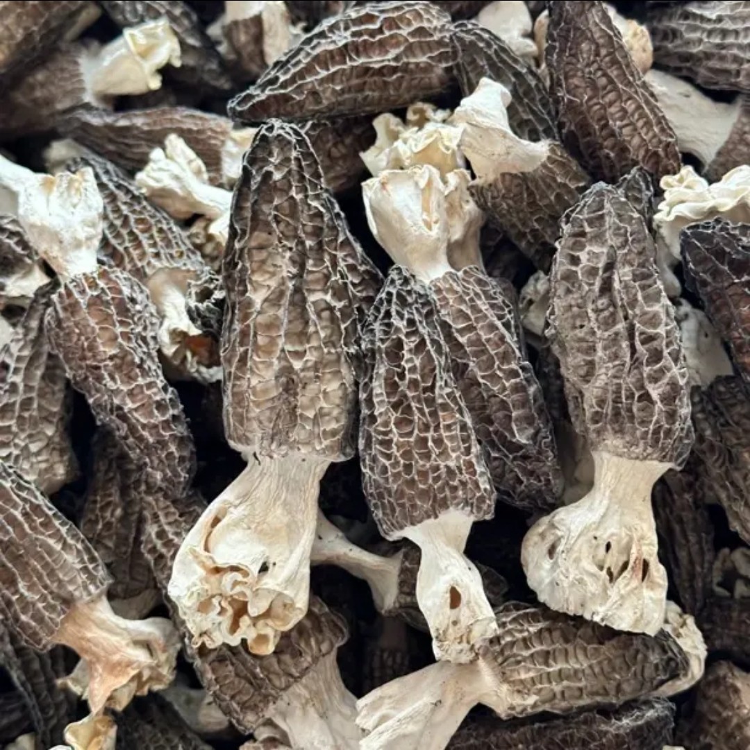 【善小舟】云南头茬羊肚菌干货5-7公分非野生新鲜菌菇煲汤500g