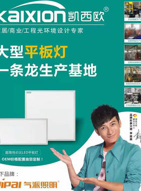 凯西欧照明透镜平板灯30*30集成吊顶烤漆白边22W38W60W气派厨卫灯