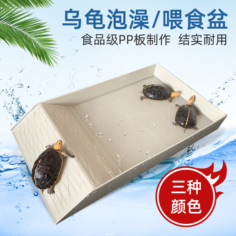 乌龟喂食盆喂水盆塑料陆龟半水龟爬宠物超大泡澡盆蜥蜴水盆饮水盘