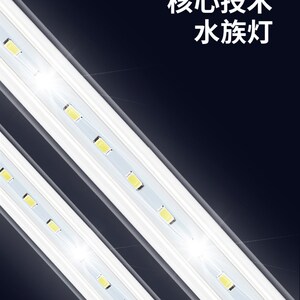 博宇鱼缸水族箱中型生态热弯玻璃造景家用客厅大型金鱼缸60-120cm