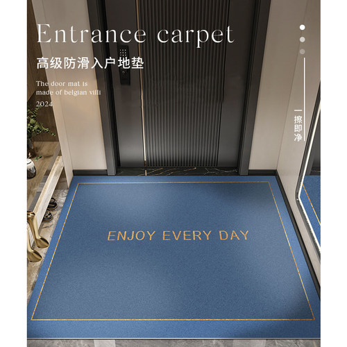 入户门地垫门口进门入门2024新款高级感pvc可擦洗门外玄关脚垫子