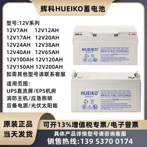 辉科HUEIKO蓄电池NPG12V24A38A55A65A100A120A150A200AH直流屏UPS