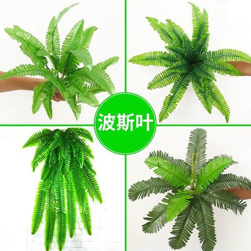 仿真蕨类植物插花叶子绿植墙配材婚庆装饰花艺绢布波斯草波斯叶