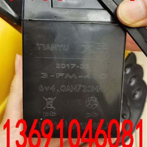 TIANYU天宇蓄电池3-FM-4.0儿童童车玩具车电池6V4AH电子秤电瓶