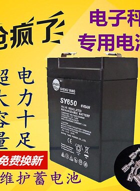 旺威电子秤电池地应急灯WW450D4V4AH20HR6V4v4ah6v计价伏友声电瓶