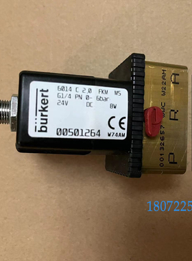 電磁閥 6213EV 250888 G1/2A DN13 FKM VA24DN BURKERT现货